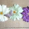 Butterflies with flowers